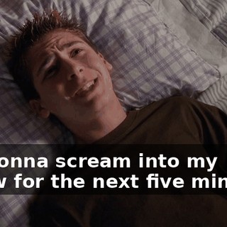 I'm gonna scream into my pillow for the next five minutes.