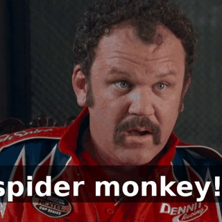 b0ced78d-2321-4ab3-8971-c77eab3f5691.gif