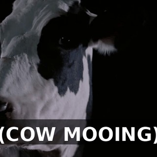 b0d31abc-9375-4326-a3e0-8f43a0afbc80.gif