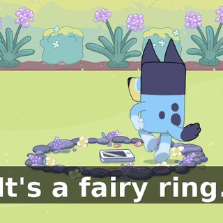 It's a fairy ring.