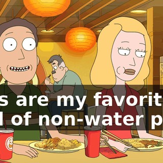 Zoos are my favorite kind of non-water park.