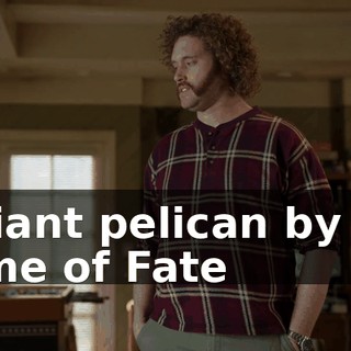 a giant pelican by the name of Fate