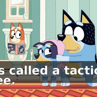 It's called a tactical wee.