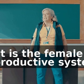 b11e51ee-52ae-4335-9152-0344f14bb178.gif