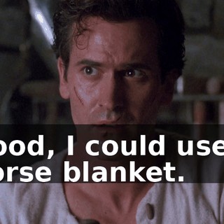 Good, I could use a horse blanket.