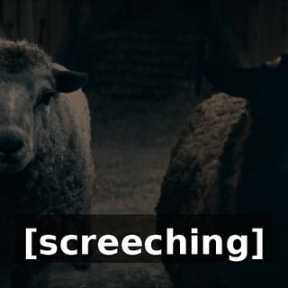 b1710edf-7444-4946-98dc-0b708e9fae2f.gif