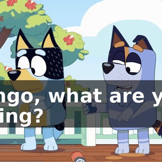 Bingo, what are you doing?