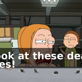 b1d24b1d-a771-42e8-960c-eb03b1077da5.gif