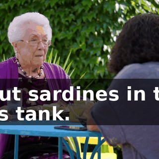 I put sardines in the gas tank.