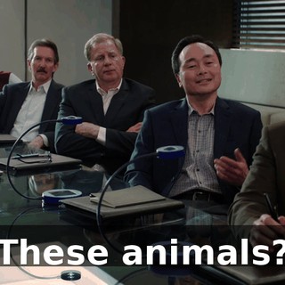 b1ee2833-c8ae-4310-a122-c28430e27166.gif