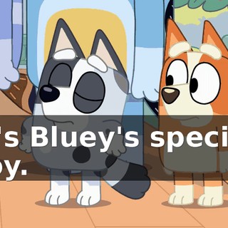 It's Bluey's special toy.