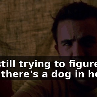 I'm still trying to figure out why there's a dog in here.