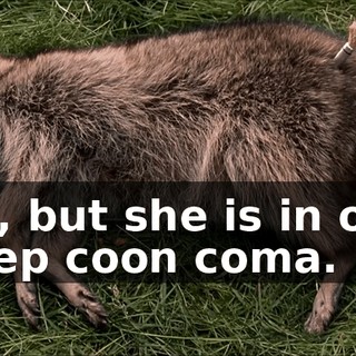 No, but she is in one deep coon coma.