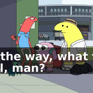 By the way, what the hell, man?