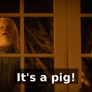 It's a pig!