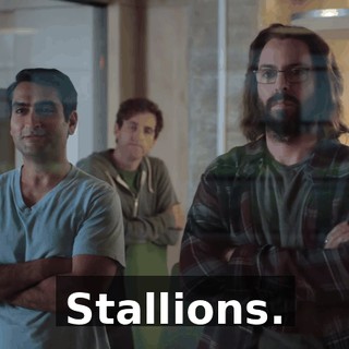 Stallions.