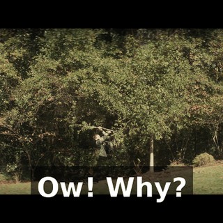 Ow! Why?