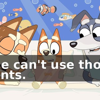 b3456fbf-5761-4ed8-a633-e9364025d801.gif