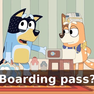 Boarding pass?