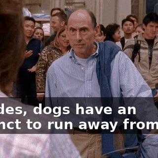 Besides, dogs have an instinct to run away from fire.