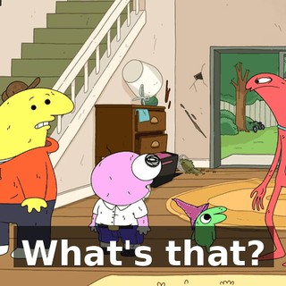 What's that?