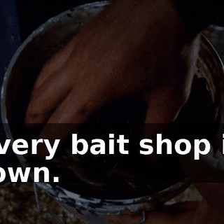 every bait shop in town.