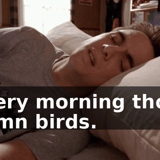 Every morning those damn birds.