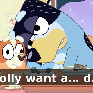 Polly want a… d…