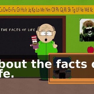 about the facts of life.
