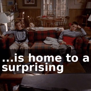 ...is home to a surprising