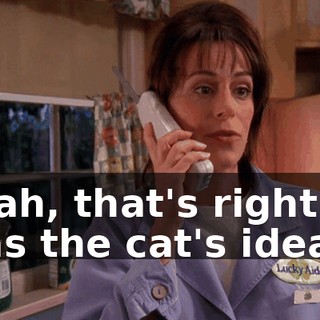 Yeah, that's right. It was the cat's idea.
