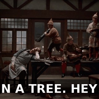 IN A TREE. HEY!