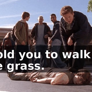 I told you to walk on the grass.