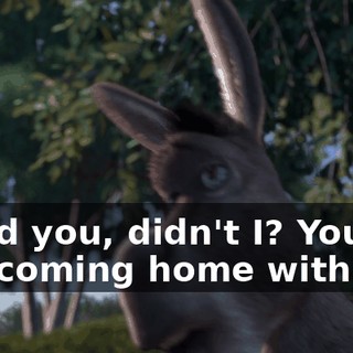 I told you, didn't I? You're not coming home with me.