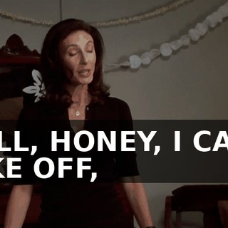 WELL, HONEY, I CAN'T TAKE OFF,