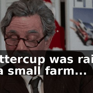 b5b3e1aa-86f9-4eec-9644-00eea67f05ed.gif
