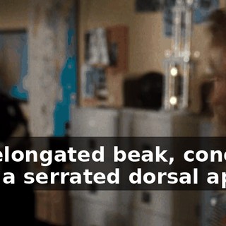 b5f4a87c-0fec-40a2-90f5-96dd2802c85c.gif