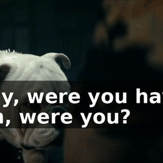 b5f85397-347c-417b-a133-f69398a2ab26.gif