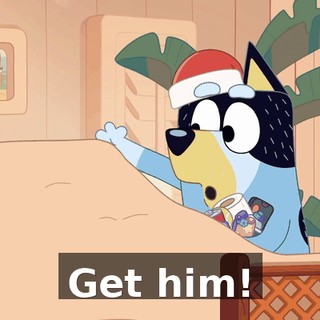Get him!