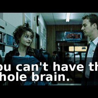 You can't have the whole brain.