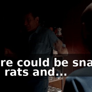 There could be snakes and rats and...
