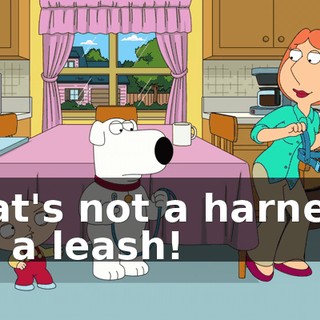 b6368b72-df5e-435e-82d9-5c238a22dd84.gif