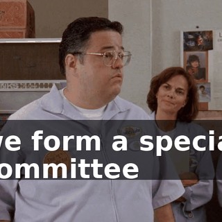 we form a special committee
