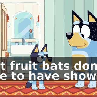 I bet fruit bats don't have to have showers.