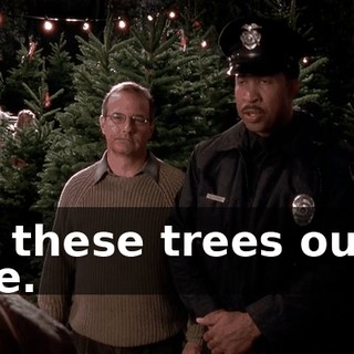 Get these trees out of here.