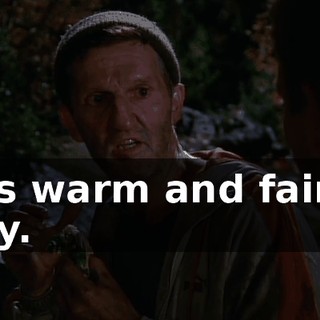 It's warm and fairly dry.