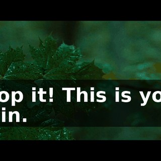 Stop it! This is your pain.