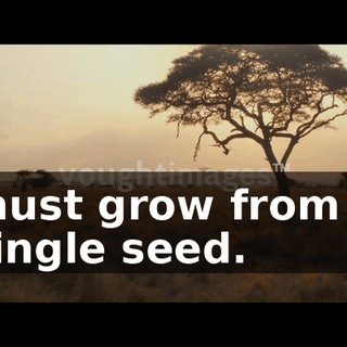 b6c3b9ed-f7ed-4649-a0c2-d0fe12265171.gif