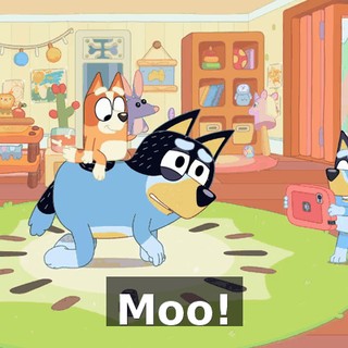 Moo!