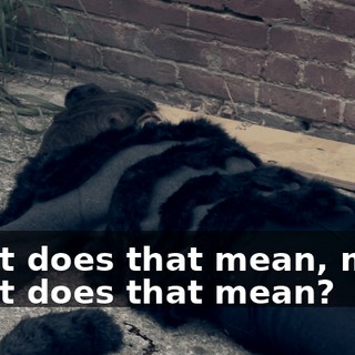 b73d05b4-14d5-42cb-ace0-9c1c4473afdf.gif